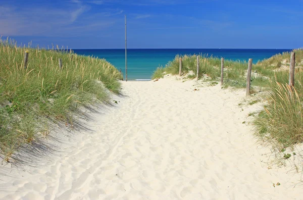 Strand i Bretagne, Frankrig - Stock-foto