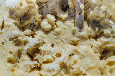 Üzerinde arıların süründüğü kalın bir beyaz ıhlamur kütlesi. 