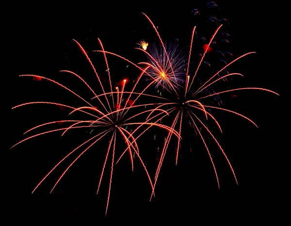 Bright Festive Fireworks Night Sky Firework Fiery Flowers Holiday — Stock Photo, Image