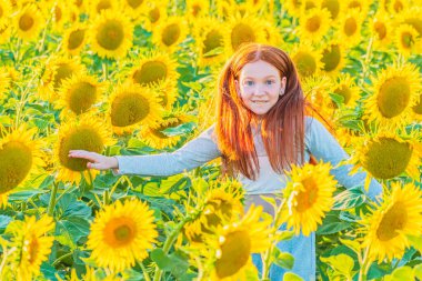 Parlak güneşli bir gün. Kızıl saçlı genç bir kız sarı tarımsal ayçiçeği tarlasında koşuyor. Açık hava eğlencesi.
