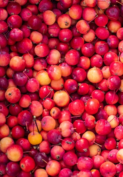 Een Grote Berg Rijpe Rode Gele Appels Klaar Voor Verkoop — Stockfoto