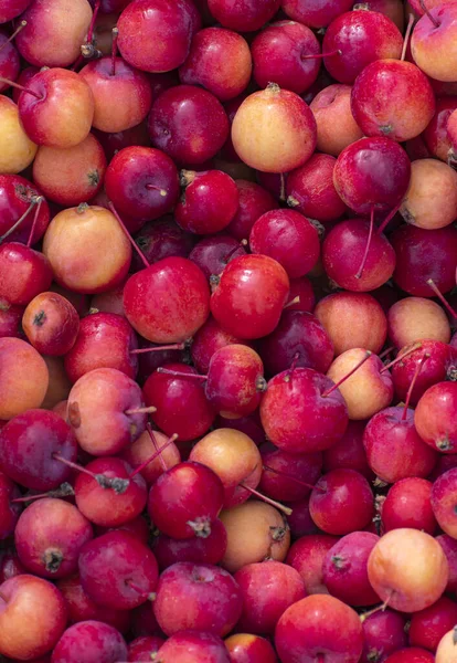 Een Grote Berg Rijpe Rode Gele Appels Klaar Voor Verkoop — Stockfoto