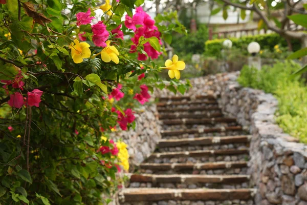 Die Treppe in einem tropischen Garten lizenzfreie Stockbilder