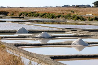 Tuz bataklıkları Noirmoutier