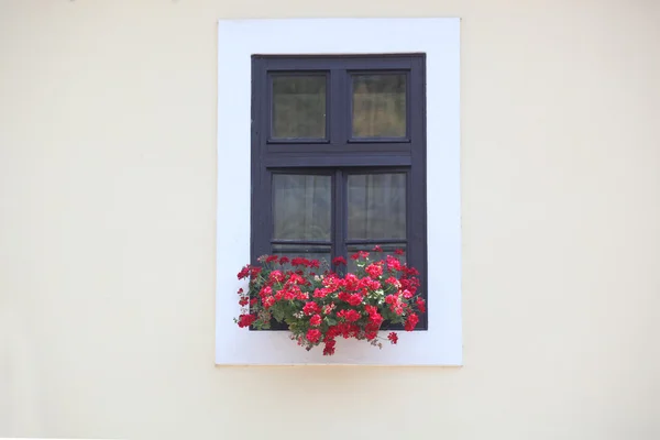 Παράθυρο στον τοίχο και λουλούδια — Φωτογραφία Αρχείου