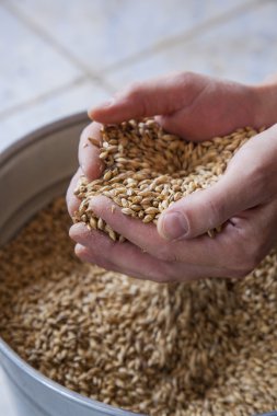 arka plan üzerinde elinde bira malt