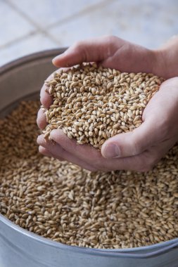 arka plan üzerinde elinde bira malt