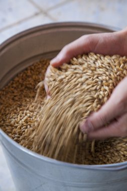 arka plan üzerinde elinde bira malt