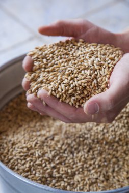 arka plan üzerinde elinde bira malt