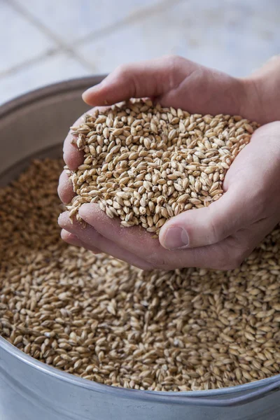 arka plan üzerinde elinde bira malt