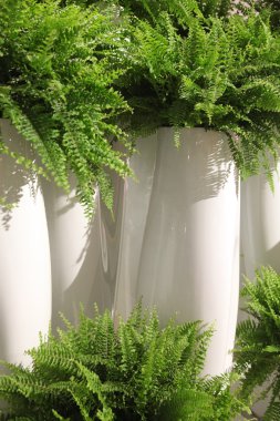 Yeşil eğreltiotu olan beyaz seramik vazo