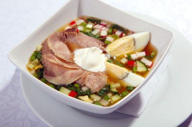 dil ve tabakta yumurta ile okroshka