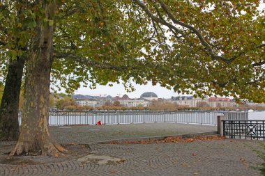 İsviçre 'deki göl ve ağaç manzarası