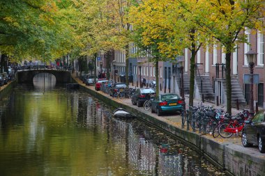 Sonbaharda yeşil çimenli Amsterdam kanalları