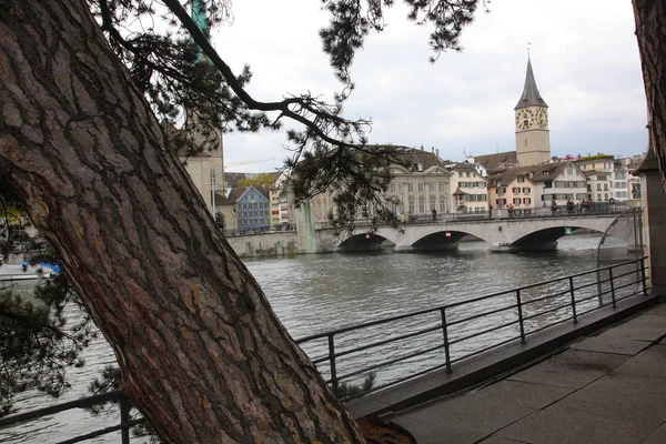 Blick Auf See Und Baum Der Schweiz — Stockfoto