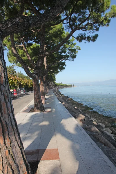 Lakeside Promenade çam — Stok fotoğraf