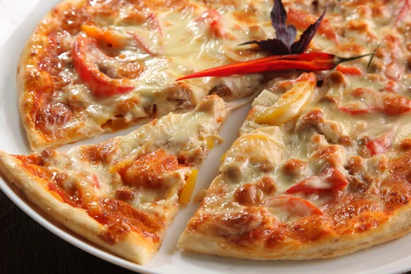 Pizza Con Pepe Piatto Bianco — Foto Stock