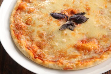 Pizza plaka üzerinde farklı peynir ile