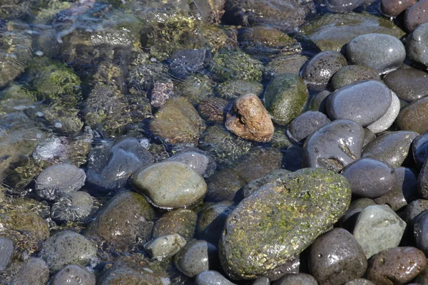 Kieselsteine und Wasser an der Küste — Stockfoto