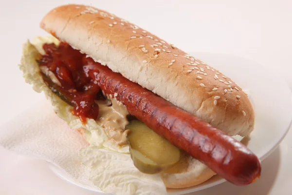 Worst Een Broodje Met Saus Augurken Café Langs Weg — Stockfoto