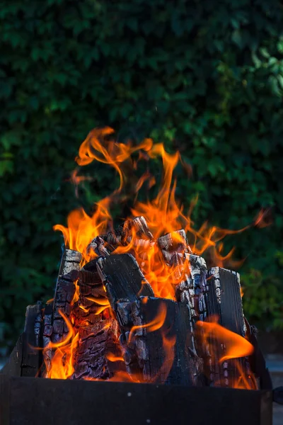 Brazier Burning Coals Deep Green Background — Stock Photo, Image