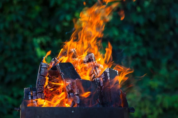 Mangal üzerinde derin yeşil arka plan kömürlerin yanma ile