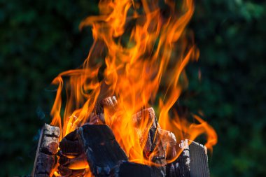 Mangal üzerinde derin yeşil arka plan kömürlerin yanma ile
