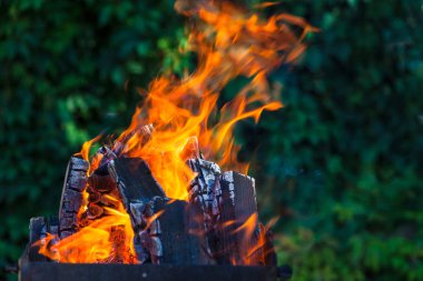 Mangal üzerinde derin yeşil arka plan kömürlerin yanma ile