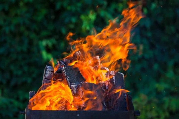 Brazier Met Brandende Kolen Diep Groene Achtergrond — Stockfoto