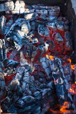 alev ile kebap için kömürler