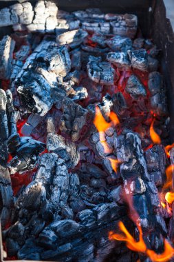 alev arka plan ile kebap için kömürler