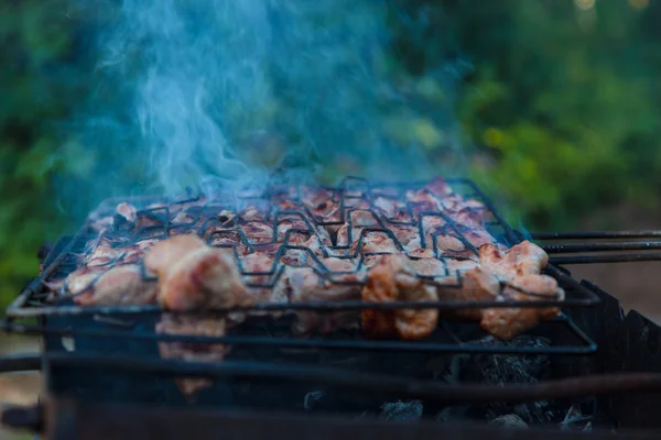 Spieße und auf Holzkohle gegrillt — Stockfoto