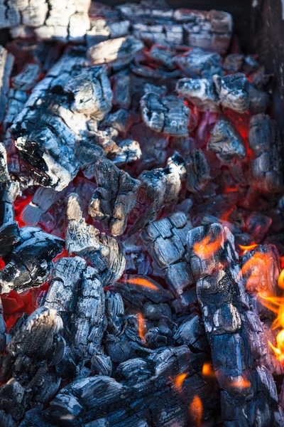alev arka plan ile kebap için kömürler