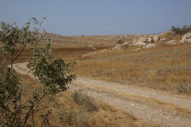 Çayır yolu ve mavi güneşli gökyüzü