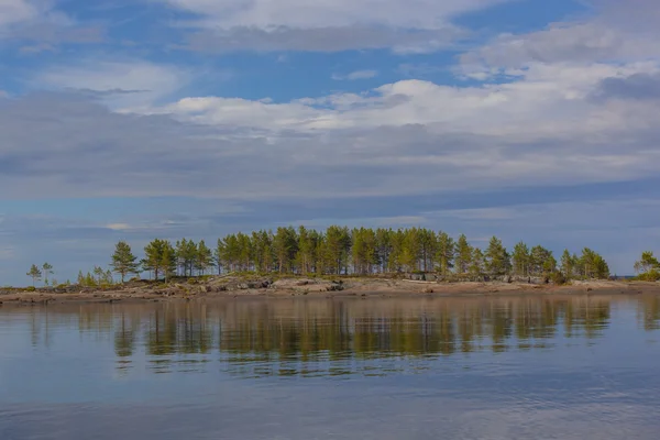 Isola Con Pini Nel Mare Blu Del Nord — Foto Stock