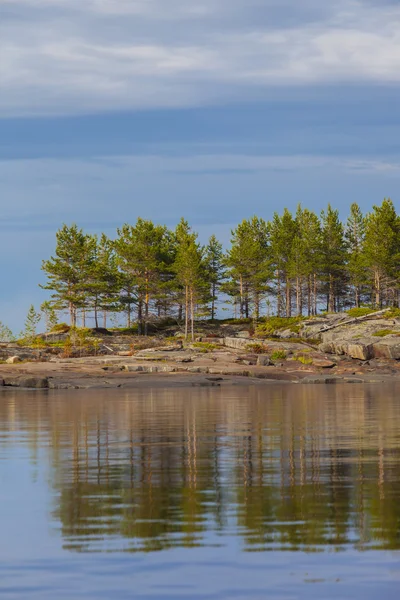 Île Avec Pins Dans Mer Bleue Nord — Photo