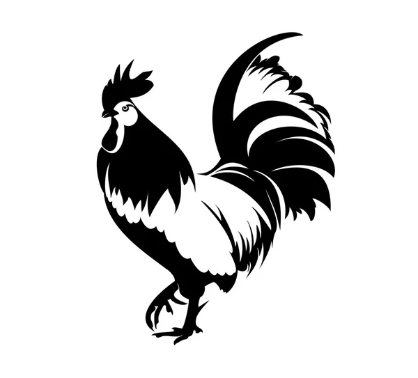 Coq Dans Vecteur Noir Blanc Illustration — Image vectorielle