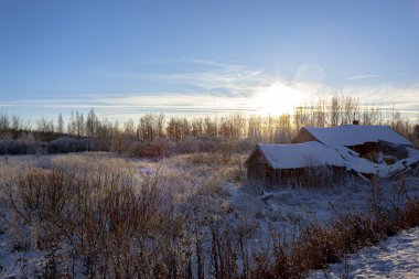 Ormanın yakınındaki karlı bir arazide eski bir kulübe.