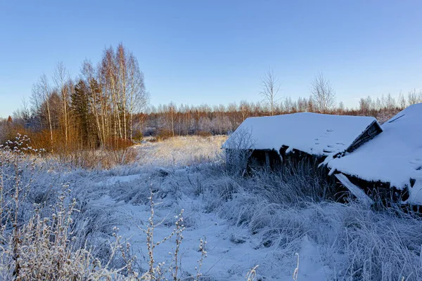 Παλιά καλύβα σε ένα χιονισμένο χωράφι κοντά στο δάσος — Φωτογραφία Αρχείου