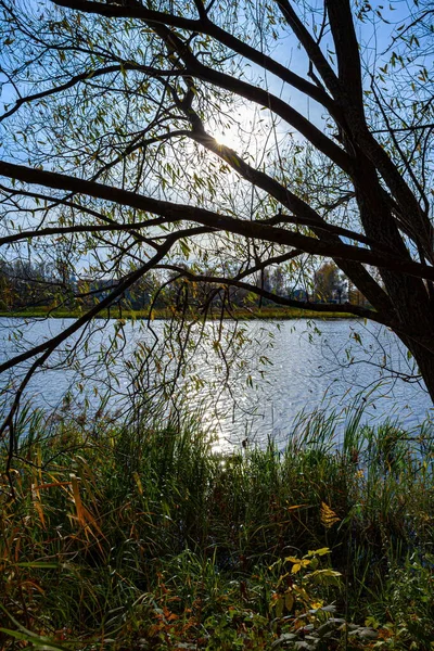 Gray Autumn River Shore — Stock Photo, Image