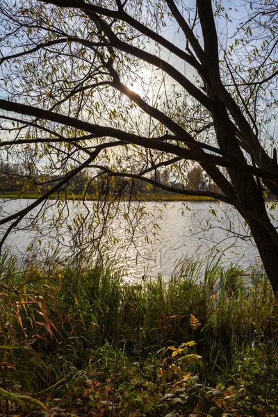 Río Gris Otoño Orilla Imagen De Stock