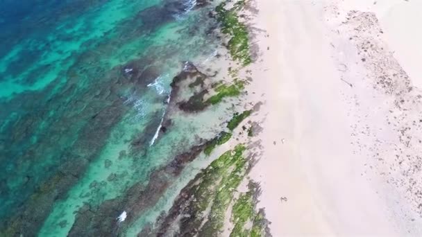 Pemandangan udara (Praia de) Pantai Chaves di Boa Vista Cape Verde - Cabo Verde — Stok Video