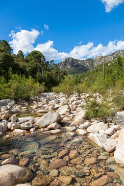 CAVU doğal havuzu Tagliu Rossu ve Sainte Lucie Corsica'deki / daki yakın 