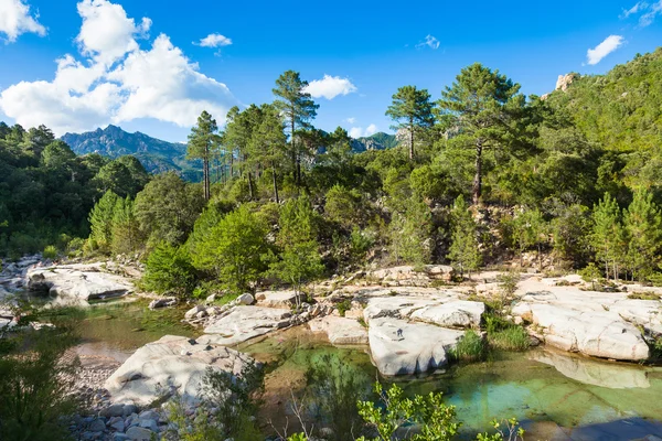 Cavu natural pool near Tagliu Rossu and Sainte Lucie in Corsica — Stock Photo, Image