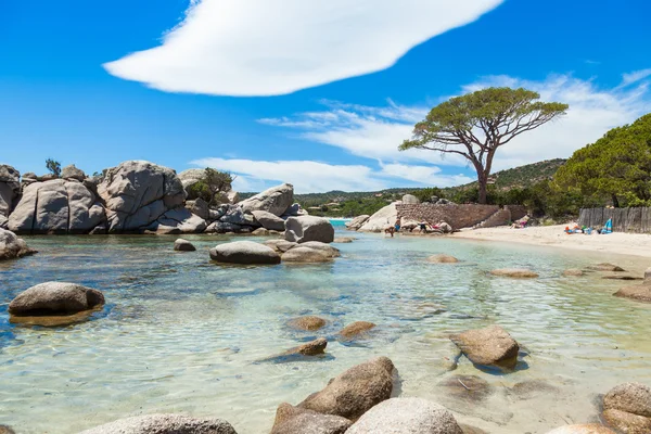 Strand van Palombaggia in Corsica Eiland in Frankrijk — Stockfoto