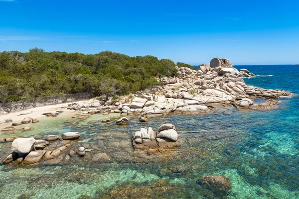 Strand van Palombaggia in Corsica Eiland in Frankrijk — Stockfoto