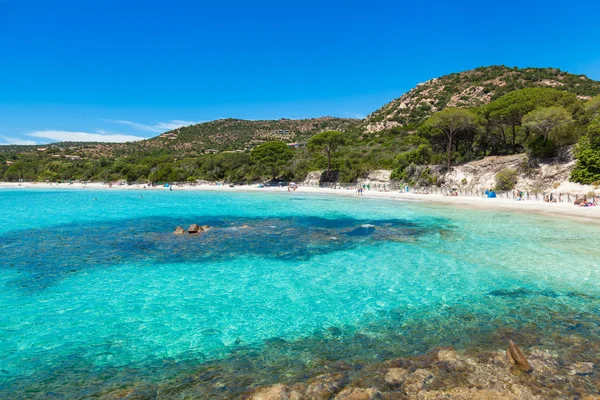 Strand van Palombaggia in Corsica Eiland in Frankrijk — Stockfoto