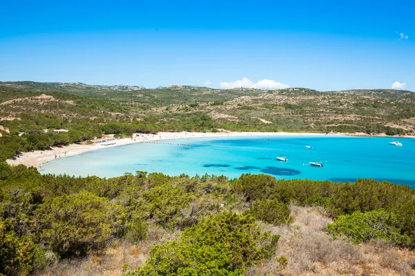 Strand van Rondinara in Corsica Eiland in Frankrijk — Stockfoto