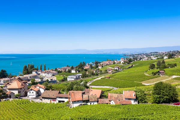 Wijnbergen in Lavaux-gebied - Terrasses de Lavaux terrassen, Switz — Stockfoto