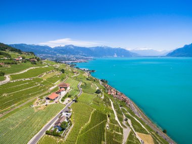 Lavaux bölgesi - Terrasses de Lavaux üzüm bağları, havadan görünümü 